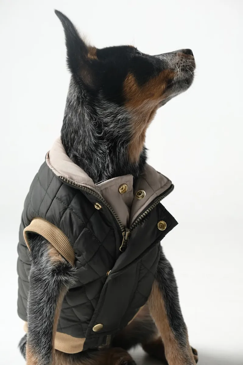 Dog Doble face Vest Military Green/Beige