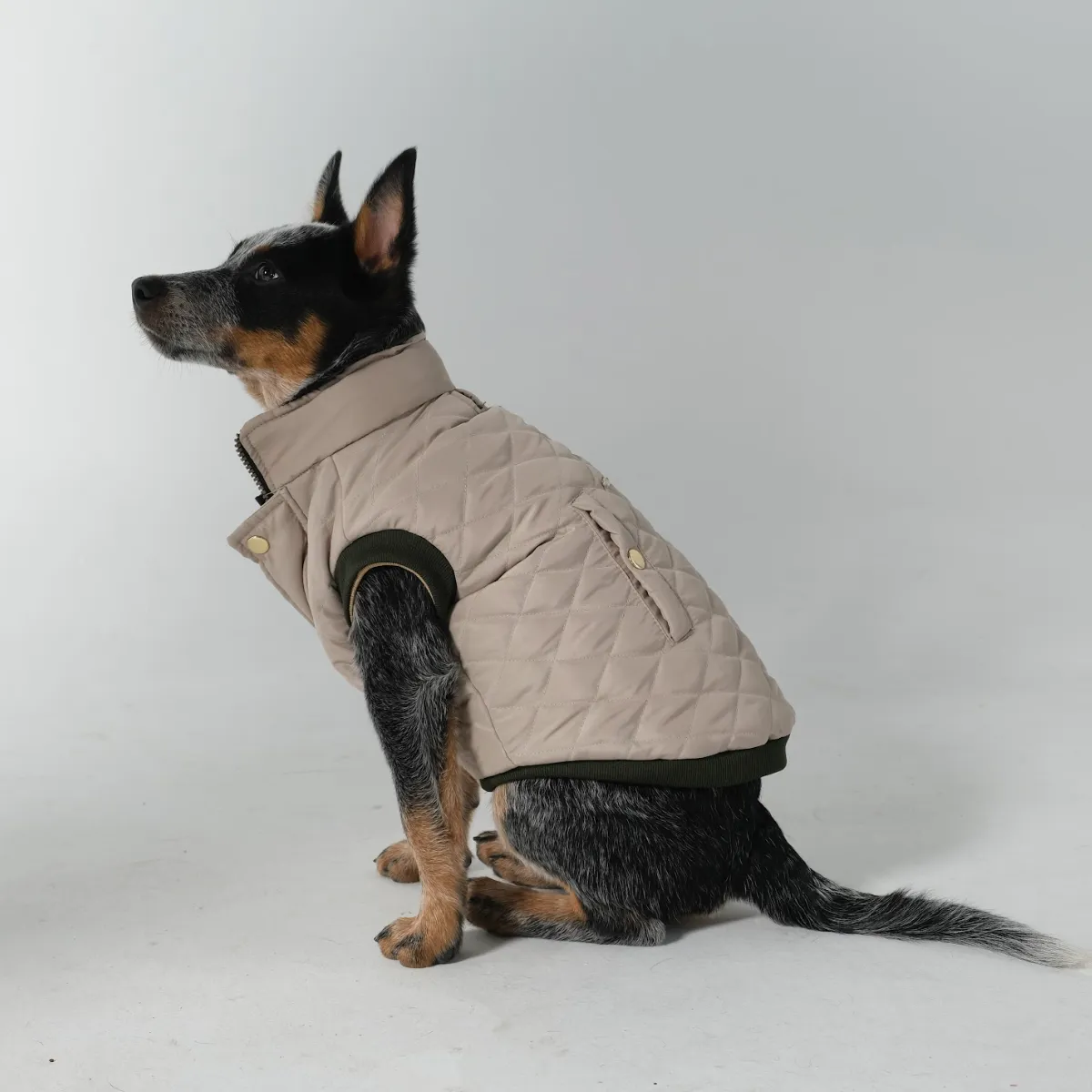 Dog Doble face Vest Military Green/Beige