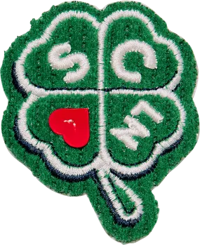 Four Leaf Clover Patch