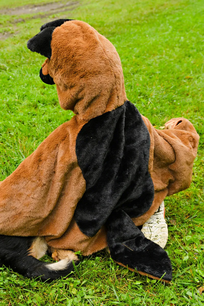 Great Pretenders German Shepherd Dog Cuddle Cape, Size 4-6