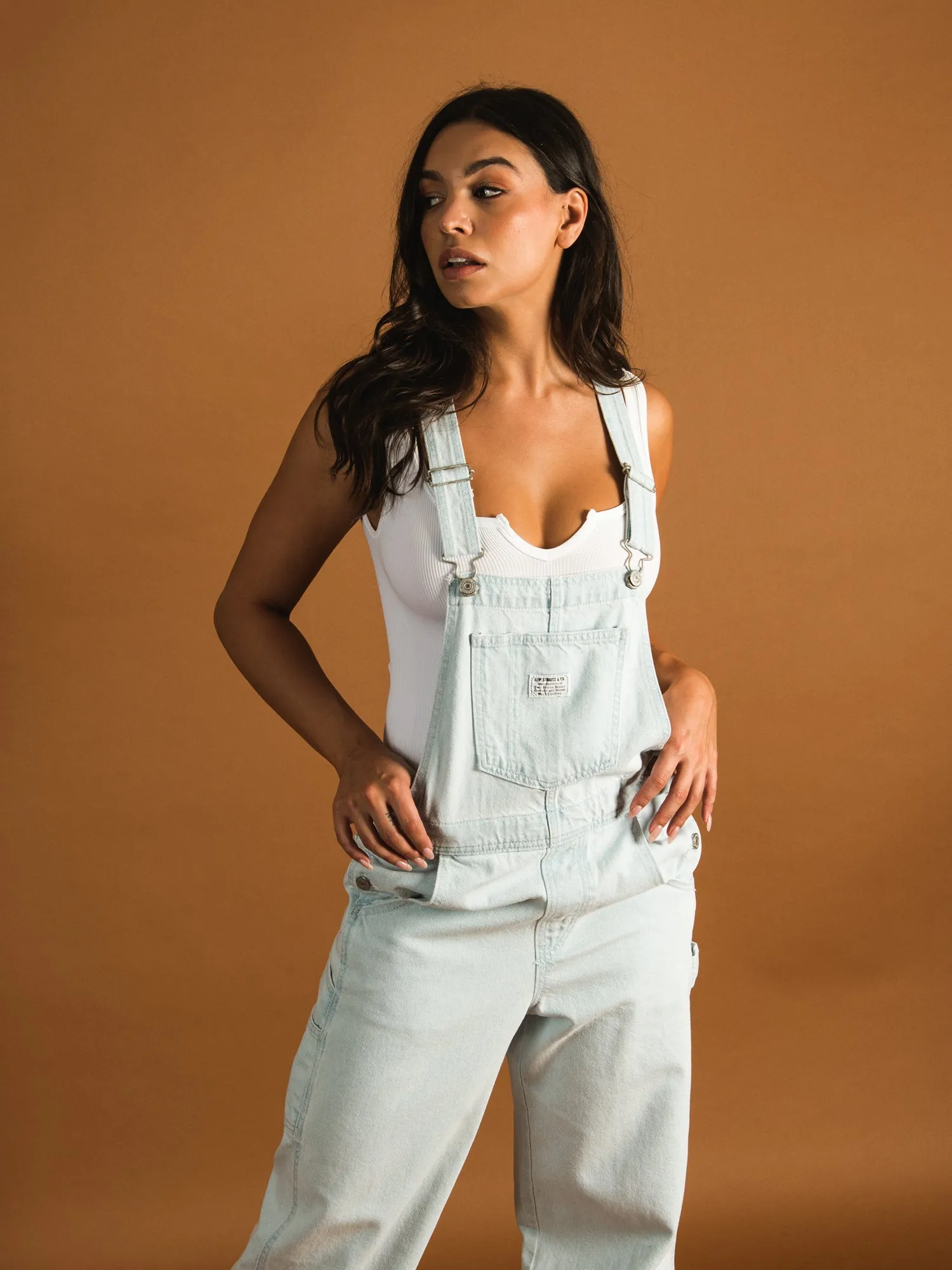 LEVIS CARPENTER OVERALL - HOME SWEET